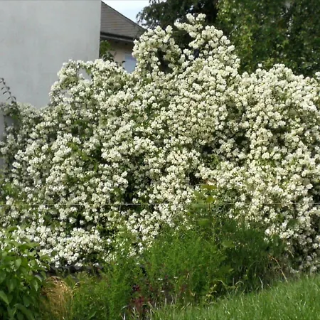 Lichtblick Vollmersbach