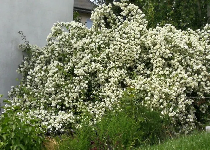 Lichtblick Vollmersbach